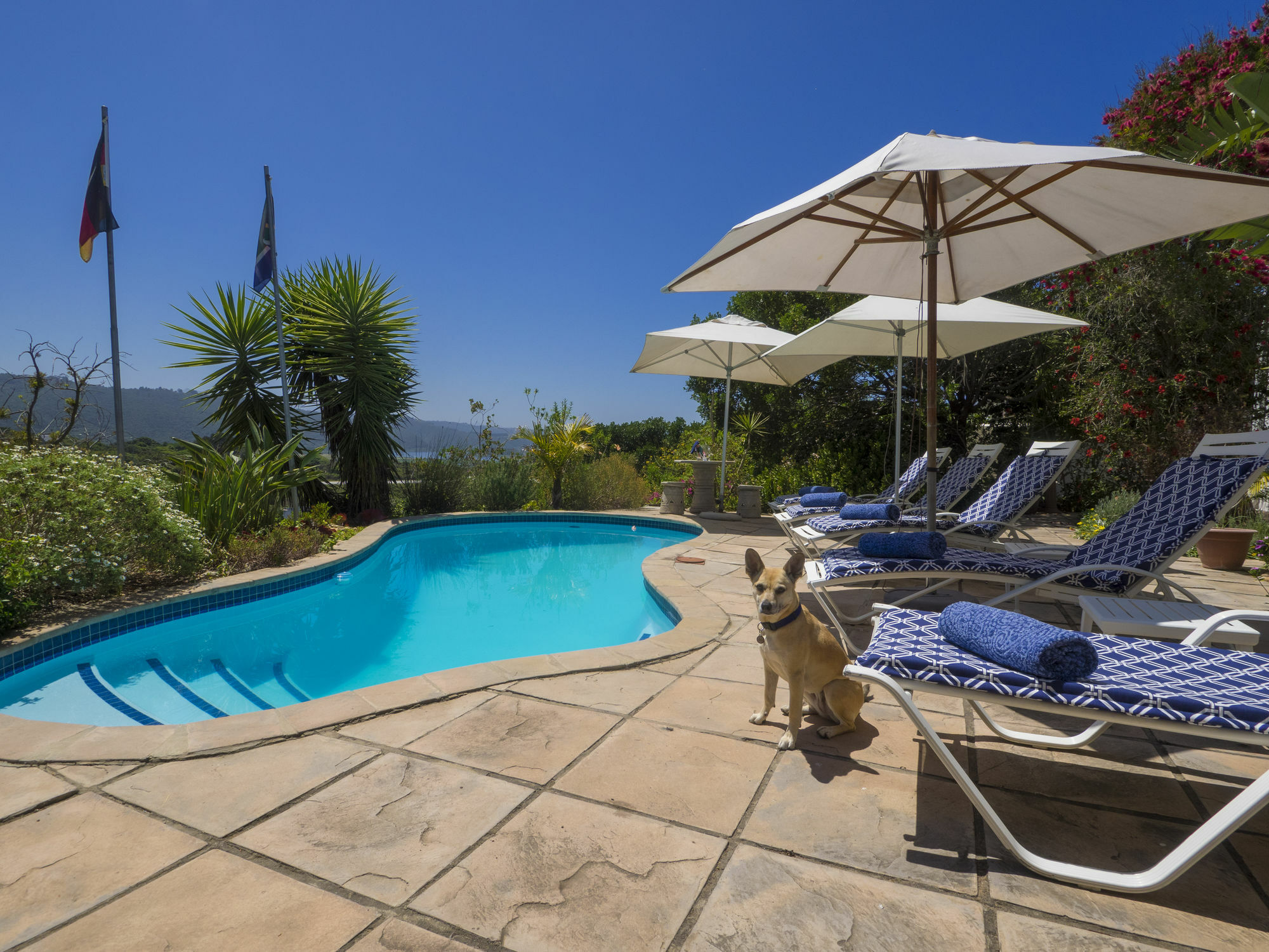 Shining Waters Guest House Wildernis Exterior foto